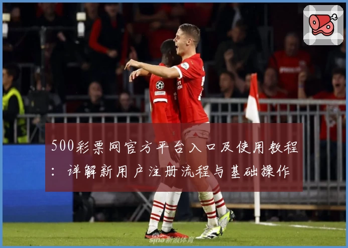 500彩票网官方平台入口及使用教程：详解新用户注册流程与基础操作说明